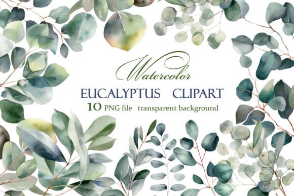 Eucalyptus Watercolor Leaves Clipart: A Designer's Botanical Toolkit