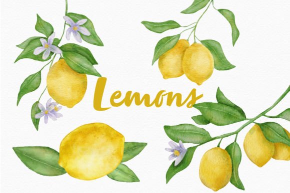 Freshen Up Your Projects with Lemon Watercolor Clipart Fruit Leaves