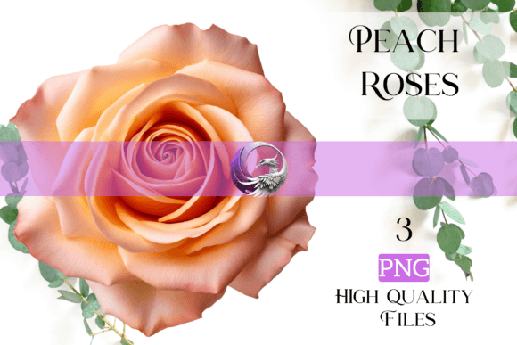 Peach Roses: A Touch of Summer for Your Digital Projects