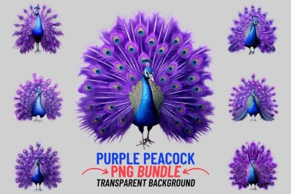 Watercolor Purple Peacock Clipart: Royal Elegance for Every Project