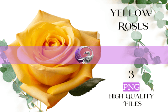 Yellow Roses: A Fresh Voice for Summer 2023
